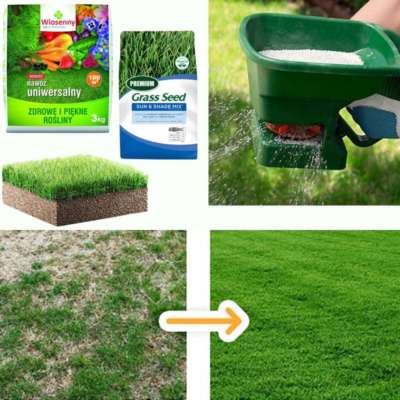 m s 1 easygrass v2
